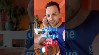 Miniature : 🇫🇷 "Donner sa langue au chat"​