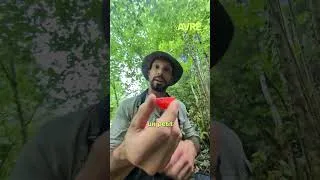 Miniature : Voici les objets indispensables pour survivre en pleine nature 🏕️ #shorts