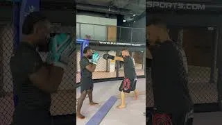 Miniature : La technique passe-partout en boxe : attaque, défense, masque, deborde