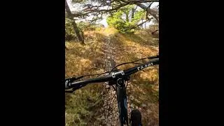 Miniature : Magnifique ce petit single 🔥 #mtb #downhill #gopro #trekslash #mountainbike