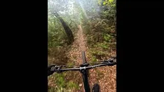 Miniature : Autumn colors🌈#mtb #downhill #gopro #trekslash #mountainbike