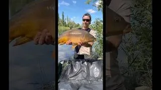 Miniature : Le feu elle avait le feu au cu. Incroyable pêche quel déroule.!! 🔥 #fishing #carp #decathlon #fish