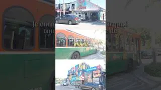 Miniature : Je ne m’attendais pas à ça à Miami 🌴#shorts #miami #travelvlog #miamivlog #frenchcreator