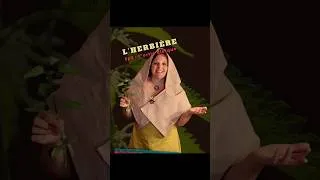 Miniature : Amorce Episode 2 - L'Herbière : La grande ortie