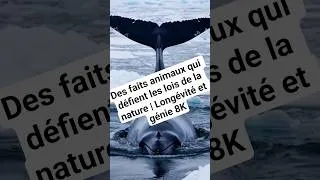 Miniature : Des faits animaux qui défient les lois de la nature | Longévité et génie 8K #faitsanimaux #animaux