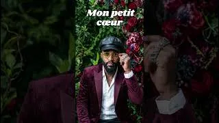 Miniature : Fally Ipupa - Mon petit cœur ( Audio Officiel )