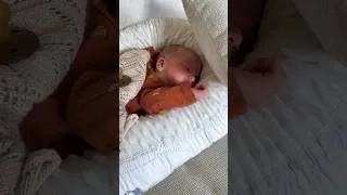 Miniature : Bébé 4 est arrivé