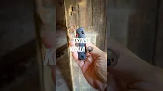 Miniature : Nan mais dis donc ! C’est vachement bien ça 🔪