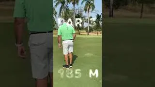 Miniature : Hole in one