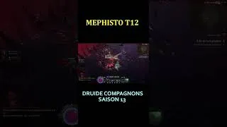 Miniature : DIABLO 4 SAISON 13 DRUIDE COMPAGNONS VS MEPHISTO T12