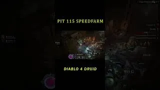Miniature : DIABLO 4 SAISON 13 DRUIDE COMPAGNONS PIT 115  #diablo4 #diabloiv #gaming #shorts