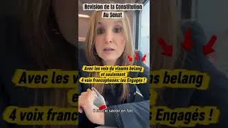 Miniature : Une démocratie qui vacille