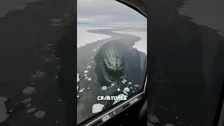 Miniature : Personne ne s'attendait à retrouver ça sous la glace!😱