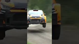 Miniature : This is best of rally 2025 😍🔥 #automobile #rally #wrc #racing #motorsport #rallye #drift #race