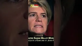 Miniature : Sylvain Schrutt, un homme manipulateur et "faiseur de problèmes" ? #shorts