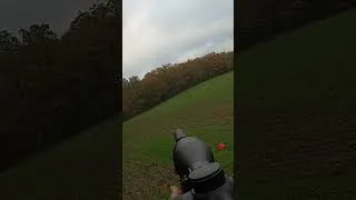 Miniature : Tir d'un chevreuil lointain par Fred- Roe deer Shot #top10 #hunting