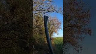Miniature : Tir d'un brocard au poste par Cyril Louin - Roe Buck Shot #top10 #hunting -