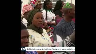 Miniature : "Au Sénégal, il y a 6,5 millions d’hectares de terres agricoles que personne ne touche.."MBAYE S K
