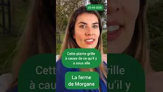 Miniature : pourquoi la profondeur de sol est essentielle pour les cultures?  Morgane lebosq agroécologie
