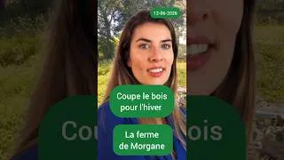 Miniature : on prépare le bois pour les années à venir à la ferme de Morgane , en Bretagne ferme agro-écologique