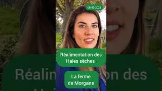 Miniature : Alimentation des haies sèches : coupe vent et habitat pour oiseaux et hérissons la ferme de Morgane
