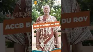 Miniature : ACCB Bouches du Roy