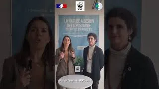 Miniature : Le FFEM et WWF engagés pour protéger la posidonie et développer le carbone bleu en Tunisie