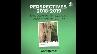 Miniature : Teaser du rapport d'activité FFEM 2018-2019