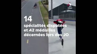 Miniature : Pourquoi la discipline de Longue Piste sur Glace à la FFRS ?