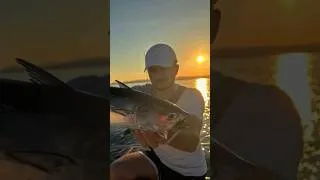 Miniature : De vrai fusées 🚀 🧨 #fishing #sunrise #fishingboat #tuna #thon