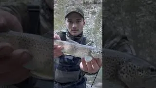 Miniature : 2 days Bushcraft - solo surviving