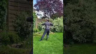 Miniature : Tai Chi 4 Directions 26) Punch