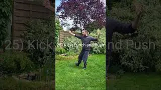 Miniature : Tai Chi 4 Directions 25) "Kick, Punch and Push