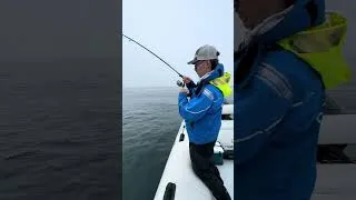 Miniature : Fiiish - Master Shad
