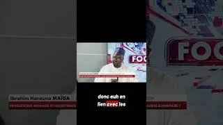 Miniature : Pourquoi les prix du bœuf sont ils si élevés au Nigeria