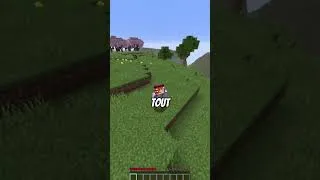 Miniature : Chaque abonné = 1 minute sur Minecraft [SAISON 2] #shorts