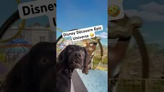 Miniature : Disney Découvre Epic Universe 🤣J’ai fait une Vidéoreact ;) #epicuniverse #disney #disneyland