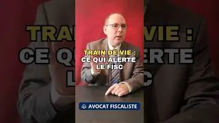 Miniature : Train de vie : ce qui peut attirer l’attention du fisc