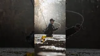 Miniature : Test des nouveautés : carton aux swimbaits DRT !