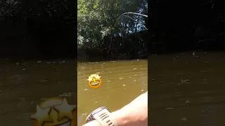 Miniature : Attaque de brochet !! #fishing #pike #brochet #peche #fish