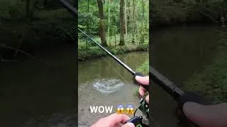 Miniature : Énorme attaque au whopper plopper !! #whopperplopper #fishing #pike
