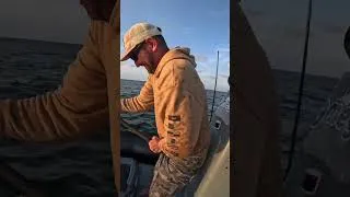 Miniature : ILS SAUTENT PRESQUE DANS LE BATEAU !🤯 💥⚡️