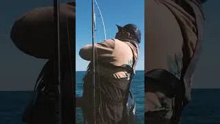 Miniature : Pêche du bar en bateau, en canal et du bord en compagnie de Gaël Even, c’est demain à 18h ! #seabass