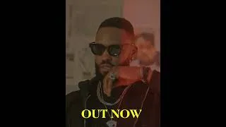 Miniature : Fitch_one_nyete_freestyle