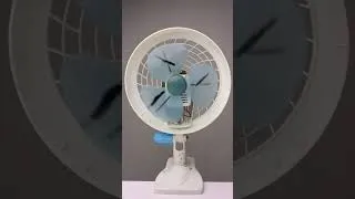 Miniature : 😳 Cette illusion d’optique…