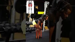 Miniature : Best Leg Exercises You Can Do with a Resistance Band