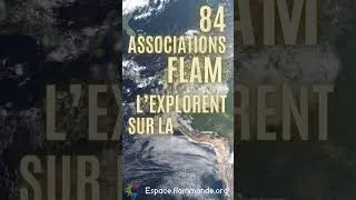 Miniature : 👽 On a reçu un message venu de l’espace : même là-haut, on parle des FLAM !