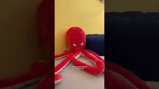 Miniature : RÉNOVATION COMPLÈTE de la chambre de bébé 👶 (volet à galandage, enduit, peinture, déco !)#rénovation