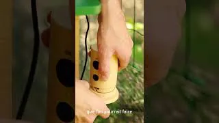 Miniature : J'ai attendu des oiseaux. Voici le résultat.