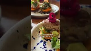 Miniature : Prenez le champ entre vignes et champ de courges avant un repas inspiré du Danemark!